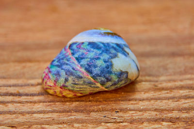 Close-up of multi colored eggs on table