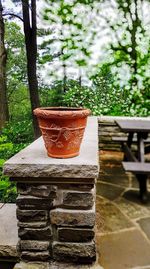 Close-up of water against trees