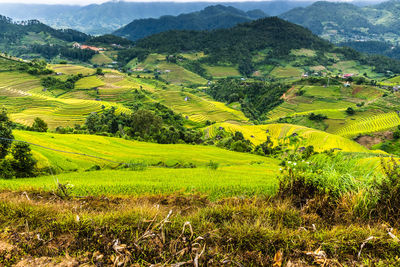 Scenic view of field against mountain