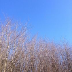 Close-up of blue sky