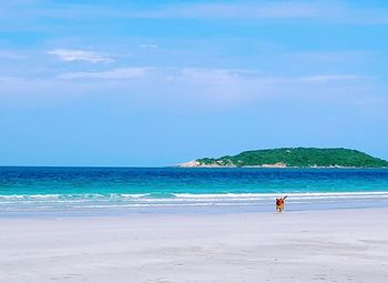 Man standing on beach against sky
