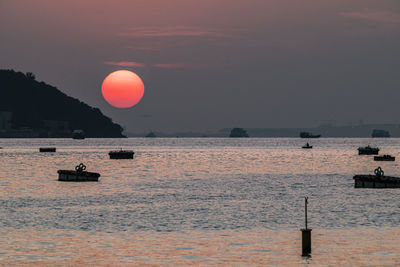 Sun hovering above the sea