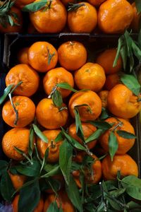 Close-up of oranges for sale at market stall