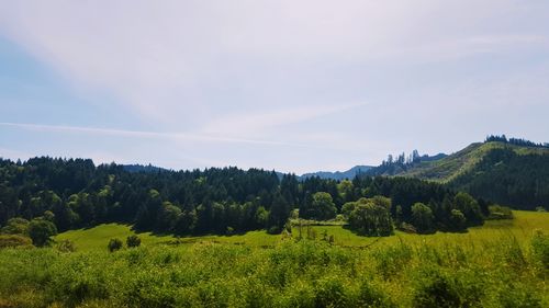 Scenic view of field against sky