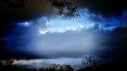 Low angle view of trees against cloudy sky