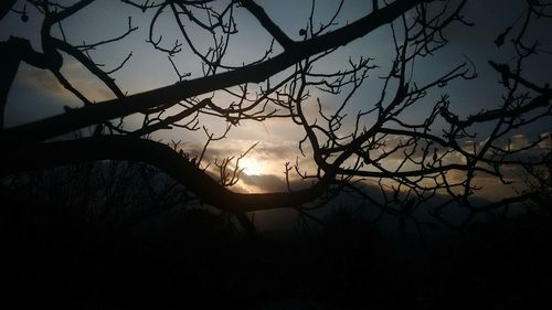 Silhouette bare tree against sky during sunset