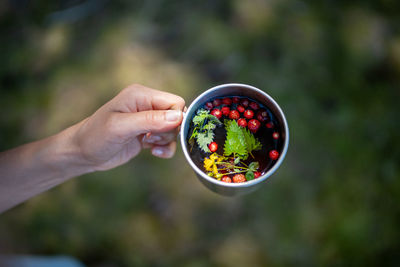 Woman hands holding touristic mug with hot herbal berry tea amidst twigs in forest, above view