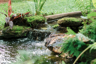 Stream flowing through rocks