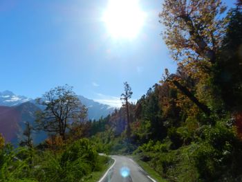 Road amidst trees against sky during winter