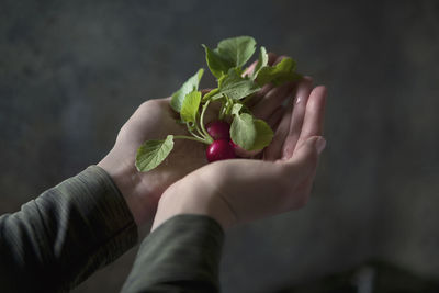 Close-up of hand holding strawberry