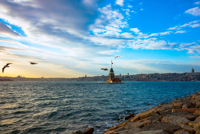 Maiden's tower and seagulls at sunset