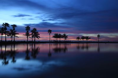 Silhouette palm trees by sea against sky at sunset