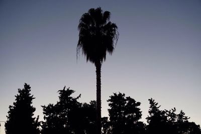 Low angle view of silhouette trees against sky