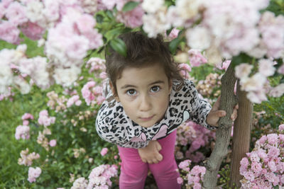 Portrait of girl with pink flowers