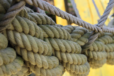Close-up of rope tied on wood