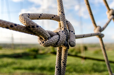 Close-up of rope tied on wooden post