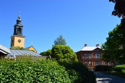 Trees and buildings against blue sky