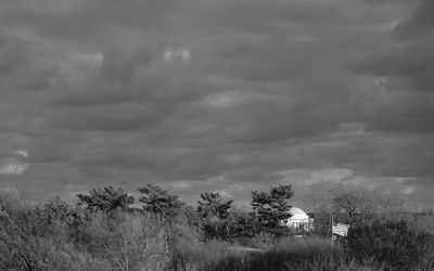 Trees on landscape against sky