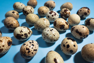 Close up - quail eggs on pastel blue background. minimal happy easter composition..