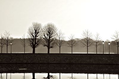 Bare trees against clear sky