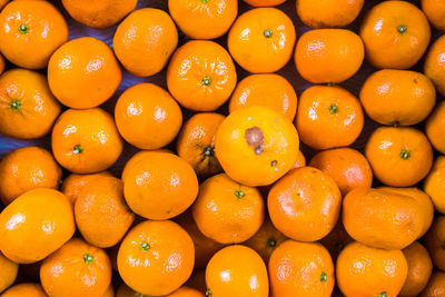 Full frame shot of orange fruits in market