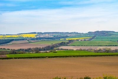 Scenic view of field against sky