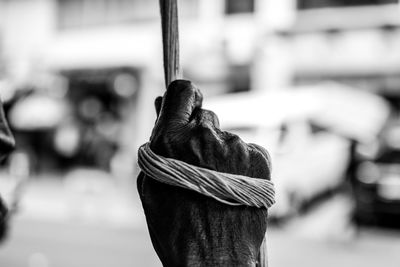 Cropped hand of man holding rope