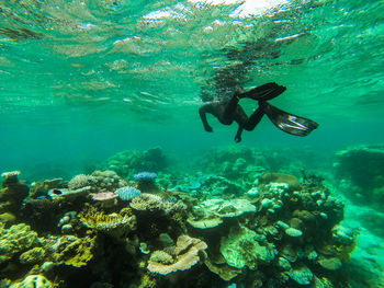 Man swimming in undersea