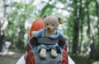 Rear view of man with teddy bear on backpack hiking in forest