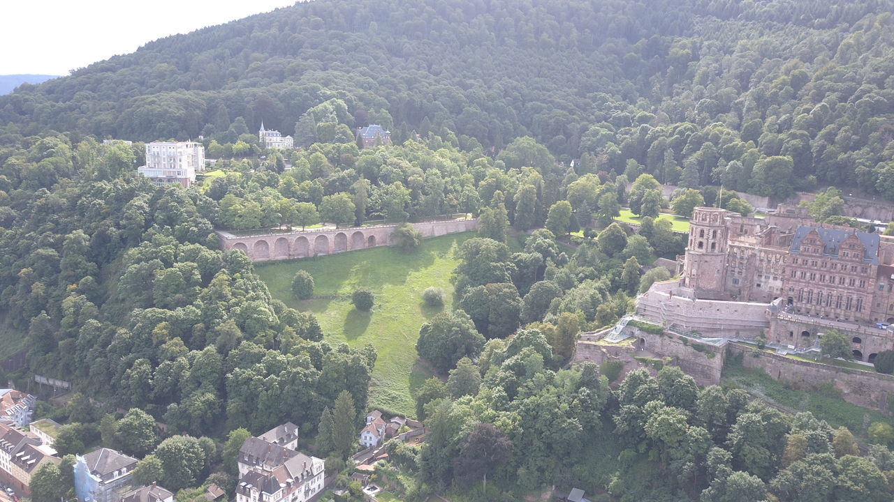 HIGH ANGLE VIEW OF TREES IN A CITY