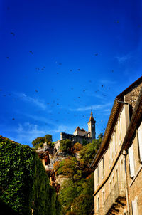 Birds flying over buildings against blue sky