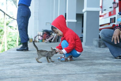 Side view of boy playing with kitten