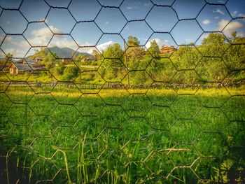 View of fence in field