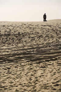 Person wandering in the sahara desert