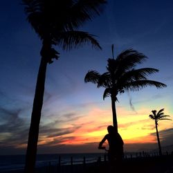 Silhouette of palm trees on beach