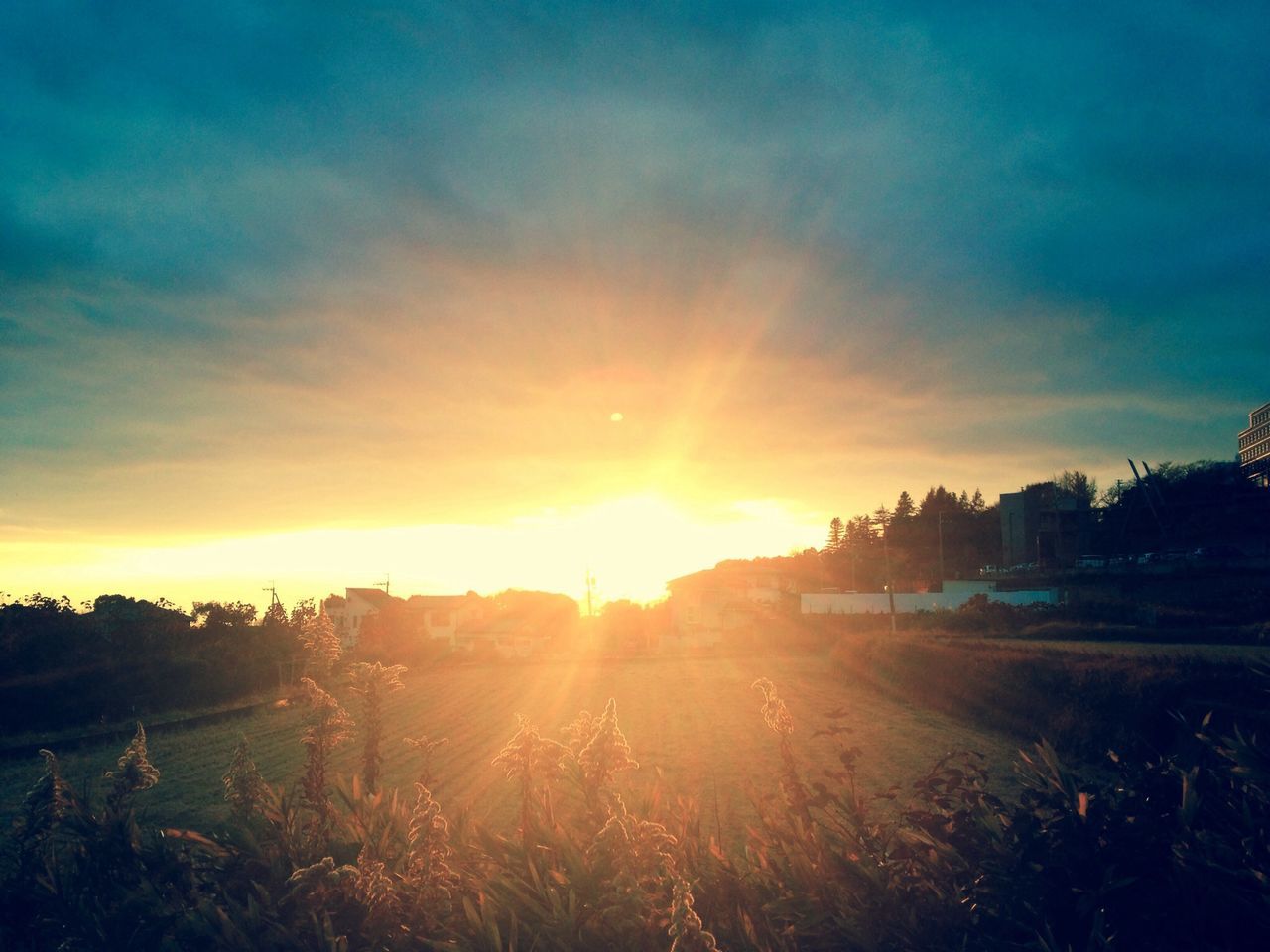 sunset, sun, sunbeam, sunlight, lens flare, sky, scenics, tranquil scene, beauty in nature, tranquility, orange color, nature, landscape, idyllic, cloud - sky, tree, field, outdoors, no people, bright