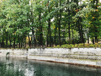 Scenic view of lake in forest