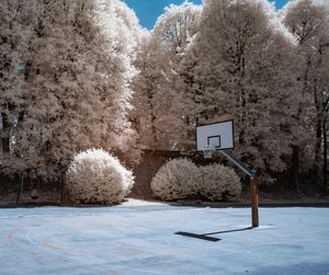 Basketball hoop on sports court against trees