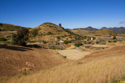 Scenic view of agricultural field against clear blue sky