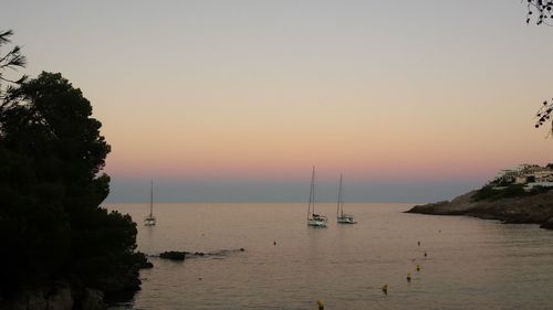 Scenic view of calm sea at sunset