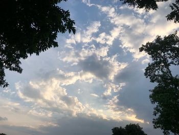 Low angle view of silhouette trees against sky