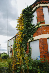 Low angle view of tree by building against sky