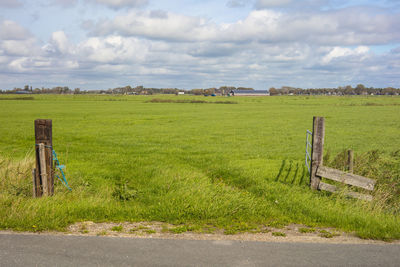 Scenic view of field against sky