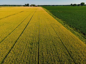 A view of the fields at a small farm in rural wisconsin