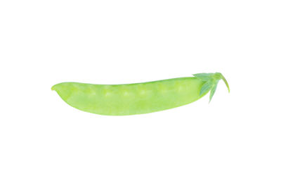 Close-up of green leaf against white background