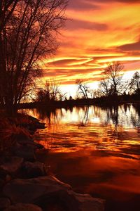 Silhouette bare trees by lake against orange sky