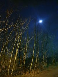 Scenic view of illuminated trees against sky at night