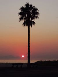 Silhouette palm trees at sunset