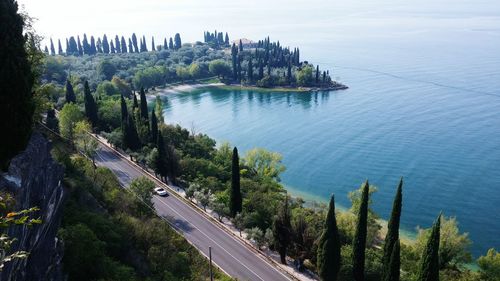 Aerial view of road along green coast