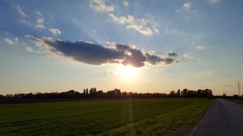 Scenic view of agricultural field against sky during sunset